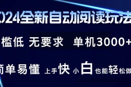 （12063期）2024全新自动阅读玩法 全新技术 全新玩法 单机3000+ 小白也能玩的转 也…