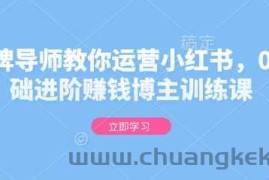 金牌导师教你运营小红书，0基础进阶赚钱博主训练课