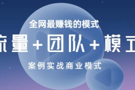 全网最赚钱的模式《流量+团队+模式》案例实战商业模式