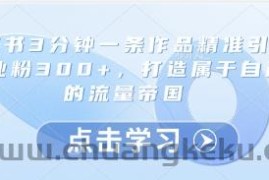 小红书3分钟一条作品精准引流创业粉300+，打造属于自己的流量帝国
