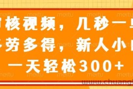 （14294期）审核视频，几秒一单，多劳多得，新人小白一天轻松300+