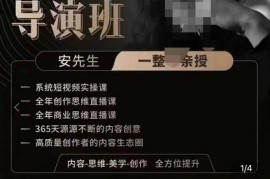 亲爱的安先生新媒体导演班：九大板块短视频创作课，内容-思维-美学-创作，全方位提升