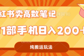 （7012期）小红书卖学科资料变现，一部手机日入200（高数笔记）