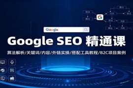 Google SEO 精通课：算法解析/关键词/内容/外链实操/搭配工具教程/B2C项目案例