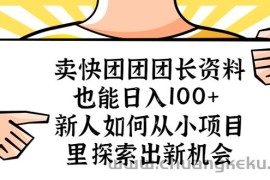 （5535期）卖快团团团长资料也能日入100+ 新人如何从小项目里探索出新机会