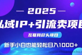（15531期）2025网创尽头项目，私域IP+引流，新手小白也能在家日入1000+