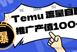 专注于Temu、商家提供精准曝光浏览量，助力店铺排名提升和转化。单机日收入80~130.