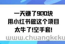 一天挣了9张用小红书做这个项目太牛了，空手套