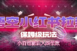 悟空小红书拉新，保姆级玩法，小白也能日入四位数