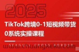 TikTok跨境0-1短视频带货，系统拆解TikTok跨境带货全链路，实现跨境可持续盈利