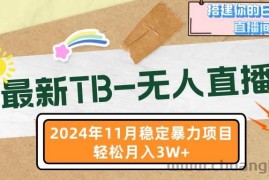 （13243期）最新TB-无人直播 11月最新，打造你的日不落直播间，轻松月入3W+