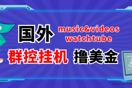 （3771期）外面收费1980的国外撸美金挂机项目 号称单窗口一天5美金+【群控脚本+教程】