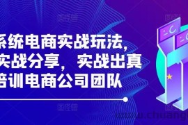 最新系统电商实战玩法，31天实战分享，实战出真知，培训电商公司团队