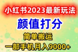 （6087期）最新小红书颜值打分玩法，日入300+闭环玩法