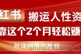 小红书搬运人性资料，有人靠这个2个月轻松赚11w，附教程【揭秘】