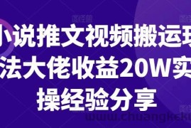 小说推文视频搬运玩法大佬收益20W实操经验分享