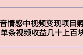 （4282期）黄岛主副业孵化营第5期：抖音情感中视频变现项目孵化 单条视频收益几十上百