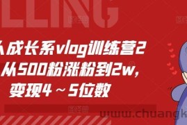 个人成长系vlog训练营2期，从500粉涨粉到2w，变现4～5位数