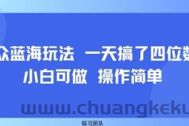 小众蓝海玩法 一天搞了四位数 小白可做 操作简单