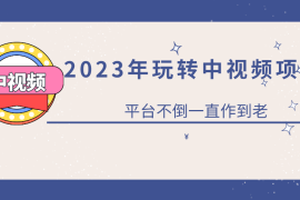 （6179期）2023一心0基础玩转中视频项目：平台不倒，一直做到老