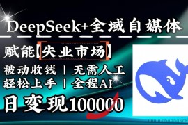 降维打击，DeepSeek+失业市场，全自动操作，结合人人刚需，单月利润轻松破100000＋