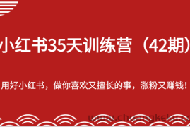 小红书35天训练营（42期）-用好小红书，做你喜欢又擅长的事，涨粉又赚钱！