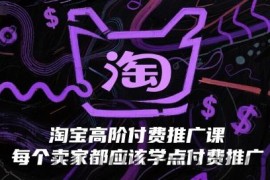 淘宝高阶付费推广课，每个卖家都应该学点付费推广