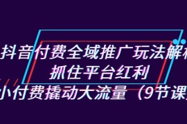 （7160期）抖音付费全域推广玩法解析：抓住平台红利，小付费撬动大流量（9节课）