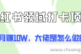 通过小红书领域打卡项目2个月赚10W，大佬是怎么做的？