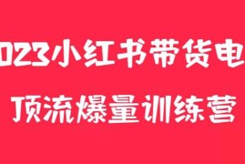 （5847期）小红书电商爆量训练营，月入3W+！可复制的独家养生花茶系列玩法