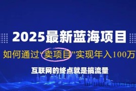 （14305期）2025最新蓝海项目，零门槛轻松复制，月入10万+，新手也能操作！