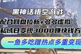 黑神话悟空游戏配合网盘拉新+多多虚拟+私域日变现3k+赚快钱方法，一鱼多吃蹭热点多重变现【揭秘】