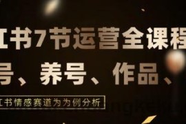 7节小红书运营实战全教程，结合最新情感赛道，打通小红书运营全流程【揭秘】