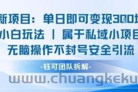 新项目单日即可变现3张的小白玩法无脑操作不封号安全引流