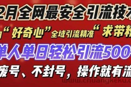 12 月份全网最安全引流创业粉技术来袭，不封号不废号，有操作就有流量【揭秘】