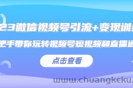 （5548期）2023微信视频号引流+变现训练营：手把手带你玩转视频号短视频和直播运营!