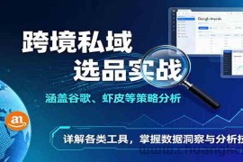 跨境私域选品实战：涵盖谷歌、虾皮等策略分析，详解各类工具，掌握数据洞察与分析技巧