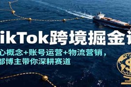 TikTok跨境掘金课，核心概念+账号运营+物流营销，头部博主带你深耕赛道