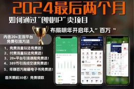 （13322期）2024最后两个月如何通过”创业IP“卖项目年入”百万“,创业IP+最强引流…