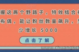 掌握这两个野路子，特效结合神奇布偶，能让粉丝数量飙升，至少增长 5000【揭秘】