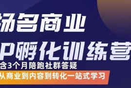 杨名商业IP孵化训练营，从商业到内容到转化一站式学 价值5980元