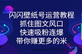 （2764期）闪闪壁纸号运营教程，抓住图文风口，快速吸粉连爆，带你赚更多的米