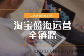 （15160期）淘宝蓝海运营全链路，从选品到流量变现，小类目突围完整方案