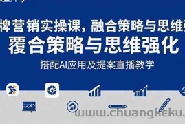 （15498期）2025品牌营销实战课：覆盖文案设计写方案，搭配AI应用及提案直播教学