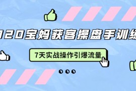 （1542期）2020宝妈获客操盘手训练营：7天实战操作引爆 母婴、都市、购物宝妈流量