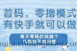 首码，零撸模式，有快手就可以做，每天零碎时间搞个几张不成问题【揭秘】