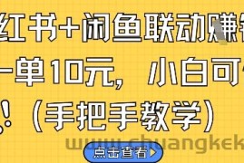 小红书+闲鱼联动挣钱，一单10元，小白可做