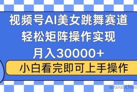 （13813期）视频号蓝海赛道玩法，当天起号，拉爆流量收益，小白也能轻松月入30000+