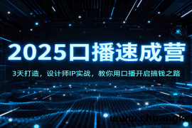 2025口播速成营：3天打造，设计师IP实战，教你用口播开启搞钱之路