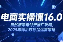 （15262期）淘宝电商运营课16.0，自然搜索与付费推广攻略，2025年标品非标品运营策略